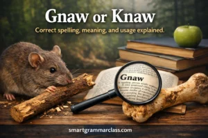Gnaw or Knaw