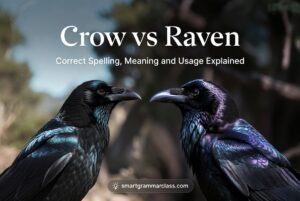 Crow vs Raven