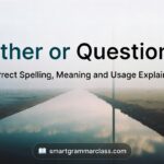 Either or Questions