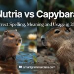 Nutria vs Capybara