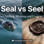 Seal vs Seel