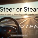 Steer Or Stear